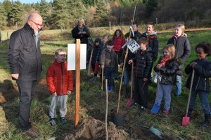 Un arbre pour le climat